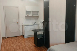 1-к. квартира, 23 м², 13/16 эт.