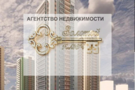 1-к. квартира, 48,3 м², 18/25 эт.