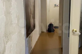 2-к. квартира, 60,4 м², 5/5 эт.