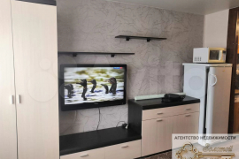 1-к. квартира, 17,1 м², 4/5 эт.