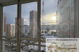 Квартира-студия, 20,6 м², 13/19 эт.