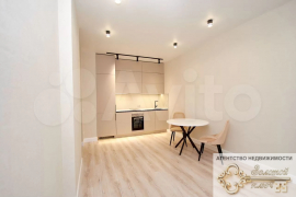 1-к. квартира, 46 м², 8/24 эт.