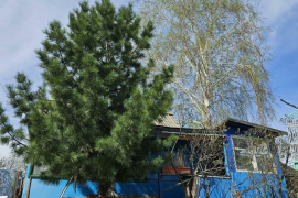 Продается 1-этажный дом, 35 м²
Расположение
