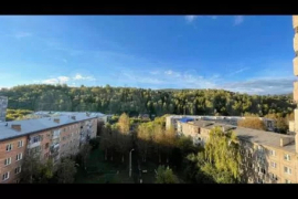 1-к. квартира, 35,7 м², 8/10 эт.