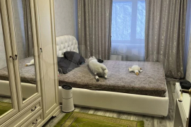 2-к. квартира, 47 м², 2/9 эт.