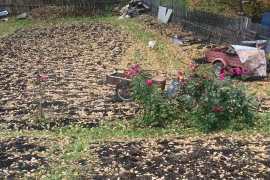 Дом 25 м² на участке 11 сот.