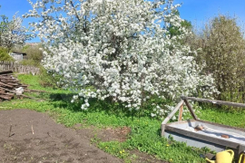 Дом 12 м² на участке 7 сот.