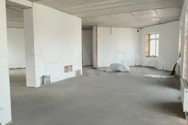 4-к. квартира, 163 м², 8/8 эт.