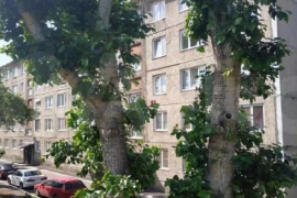 Доля в 1-к. квартире, 18 м², 4/5 эт.