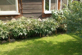 1-этажный дом, 55 м²
Расположение
