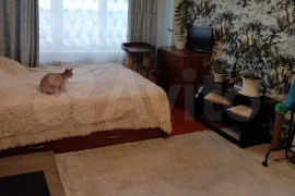 1-к. квартира, 31,3 м², 5/5 эт.